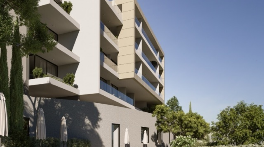 section catalog photo